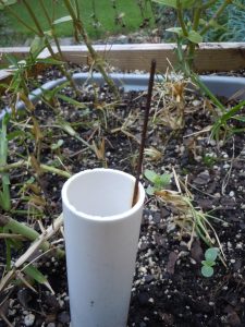 clip the wire in the floating cork so it appears above the top of the tube when water is in the bottom of the tub