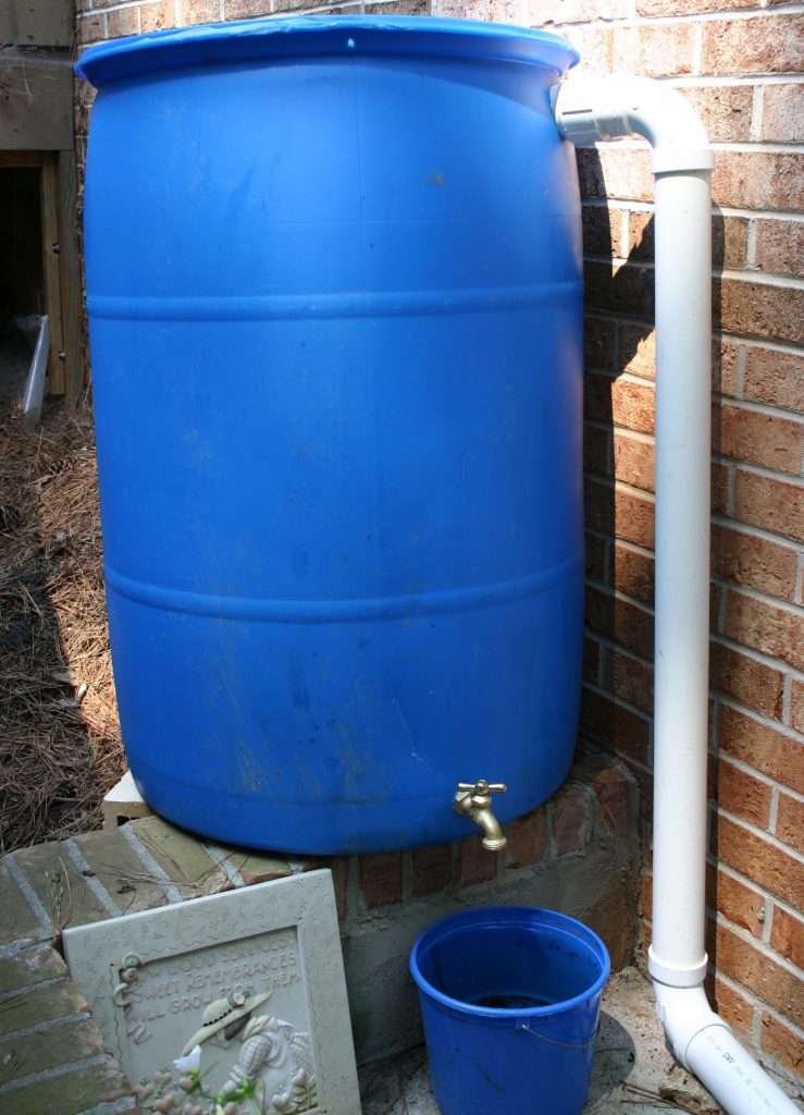 Rain Barrel Using Water in a Vegetable Garden Walter Reeves The Gardener