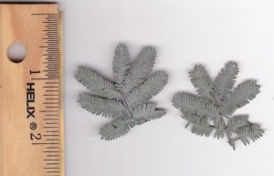 1469733789-name-that-plant-1 | Walter Reeves: The Georgia Gardener