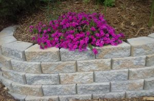 1493568194-name-that-plant-1 | Walter Reeves: The Georgia Gardener
