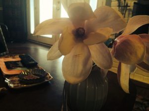 IMG_0618 | Walter Reeves: The Georgia Gardener