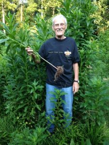Plant-or-Weed | Walter Reeves: The Georgia Gardener