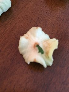 1529612916-name-that-plant-1 | Walter Reeves: The Georgia Gardener