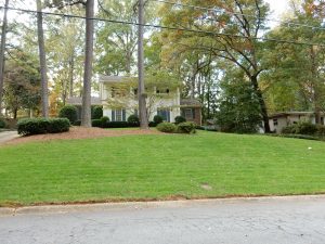 fescue November | Walter Reeves: The Georgia Gardener