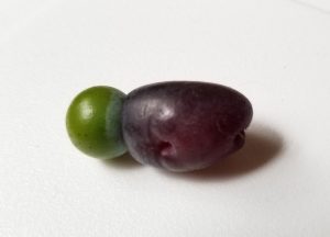 1601313631-name-that-plant-1 | Walter Reeves: The Georgia Gardener