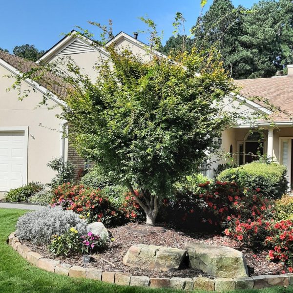 close together mature length