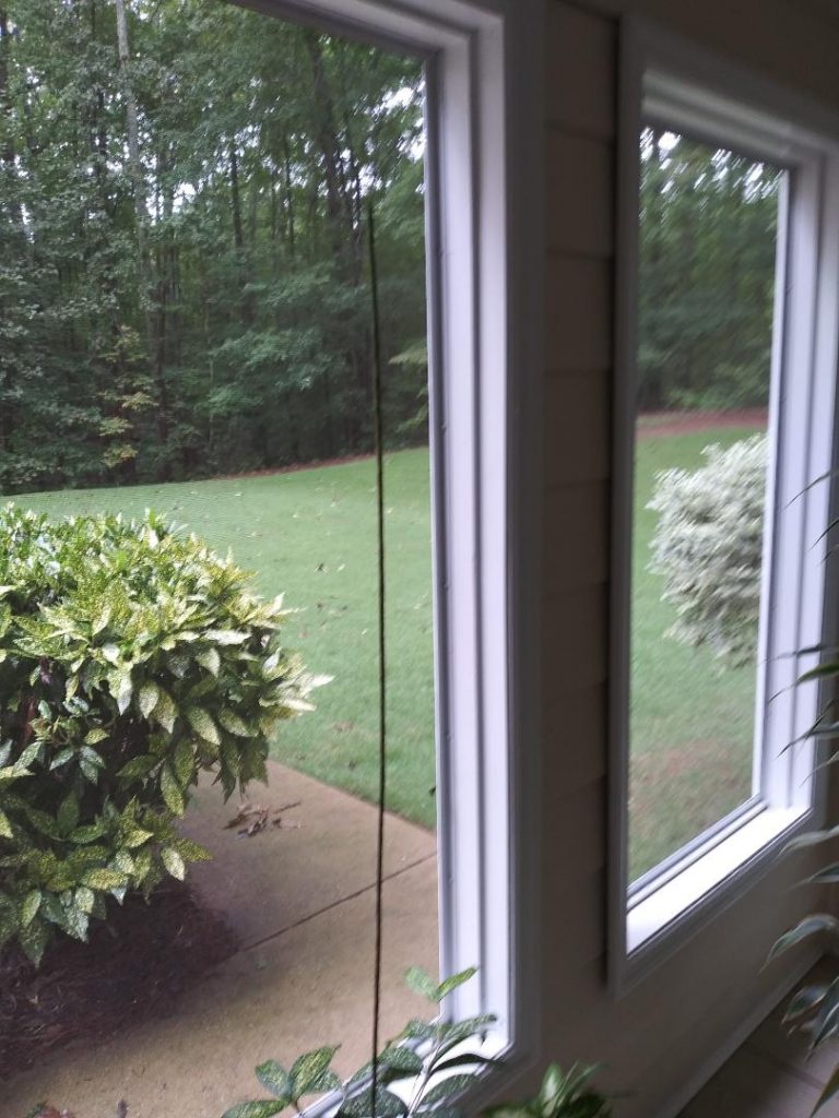 dracaena bloom | Walter Reeves: The Georgia Gardener