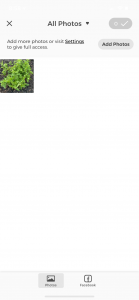 s9zaUYnjO5lx | Walter Reeves: The Georgia Gardener