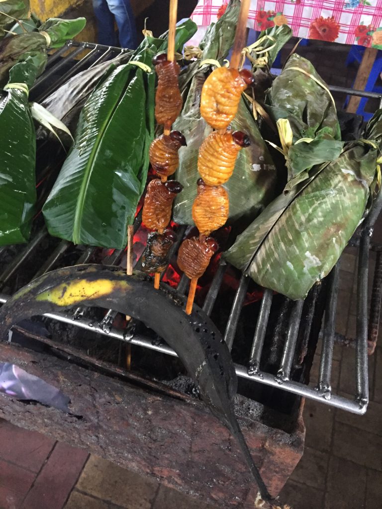 grubs 3 | Walter Reeves: The Georgia Gardener