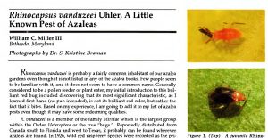 2023-07-01_11-37-13 | Walter Reeves: The Georgia Gardener