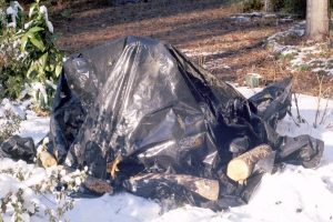 cold-covering-black-plastic-600x400 | Walter Reeves: The Georgia Gardener