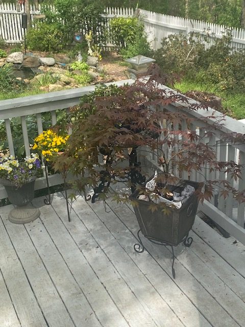 flowery-branch-spring-1743708933